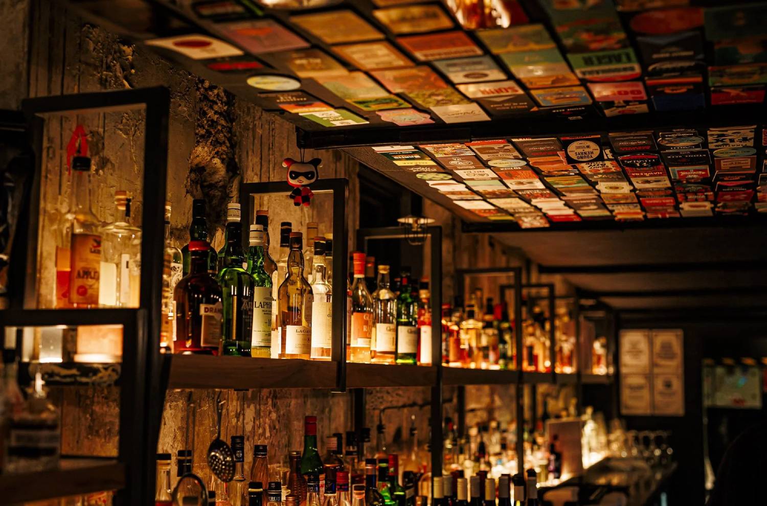 Miss D (Miss Demeanour) - Thumbnail 2