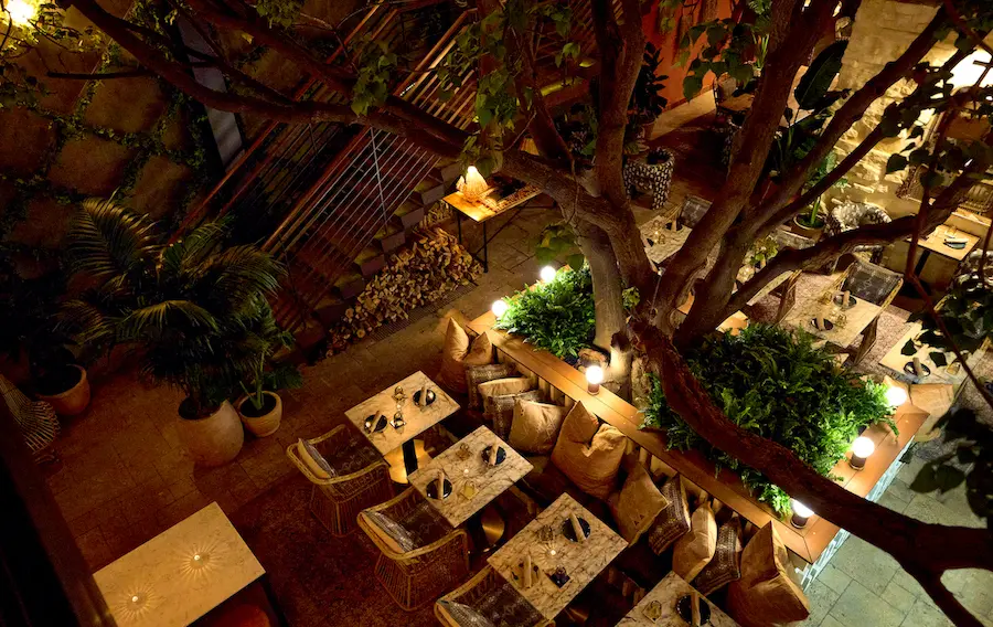 Mirate, bar in Los Angeles (photo 1)