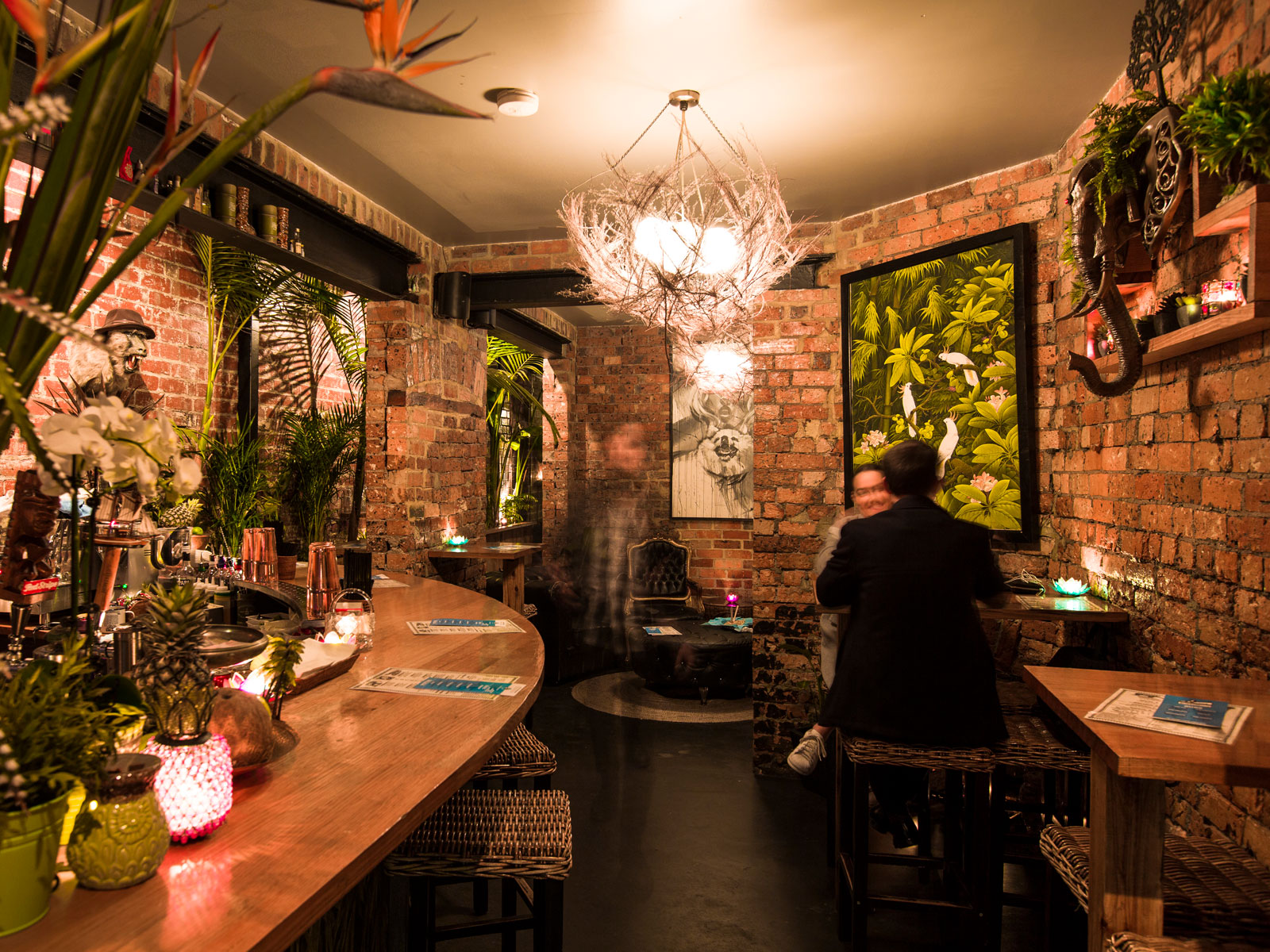 Jungle Boy - Thumbnail 2