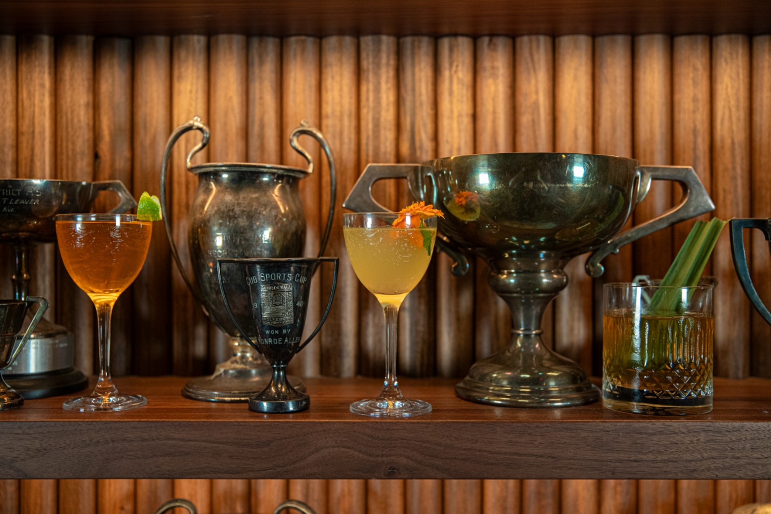 Trophy Room - Thumbnail 3