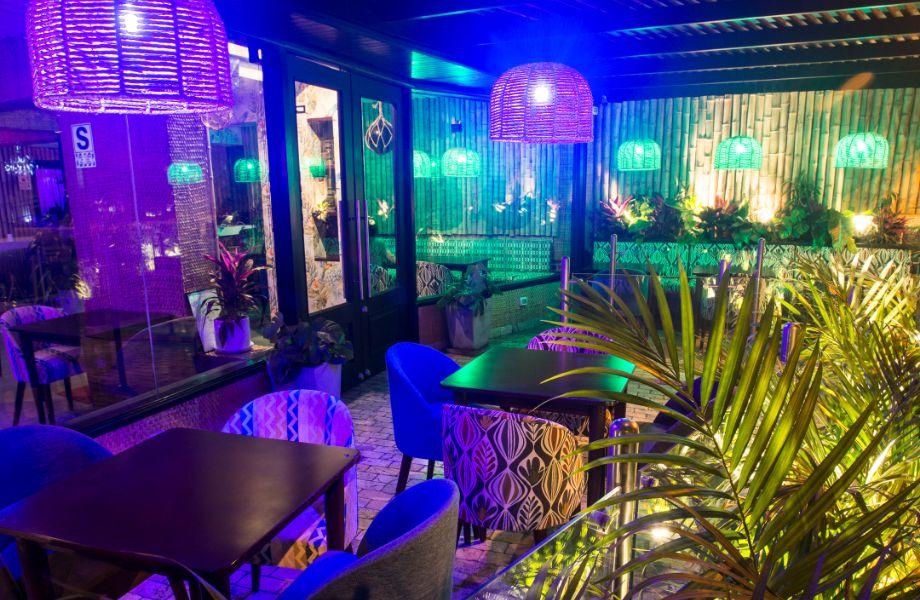 The Parrot Shadow - Thumbnail 2