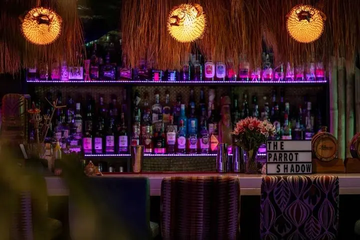 The Parrot Shadow, bar in Lima (photo 1)