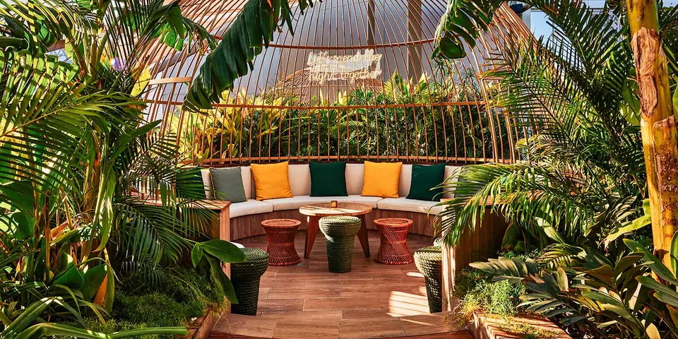 Monkey Bar, bar in Dubai (photo 1)