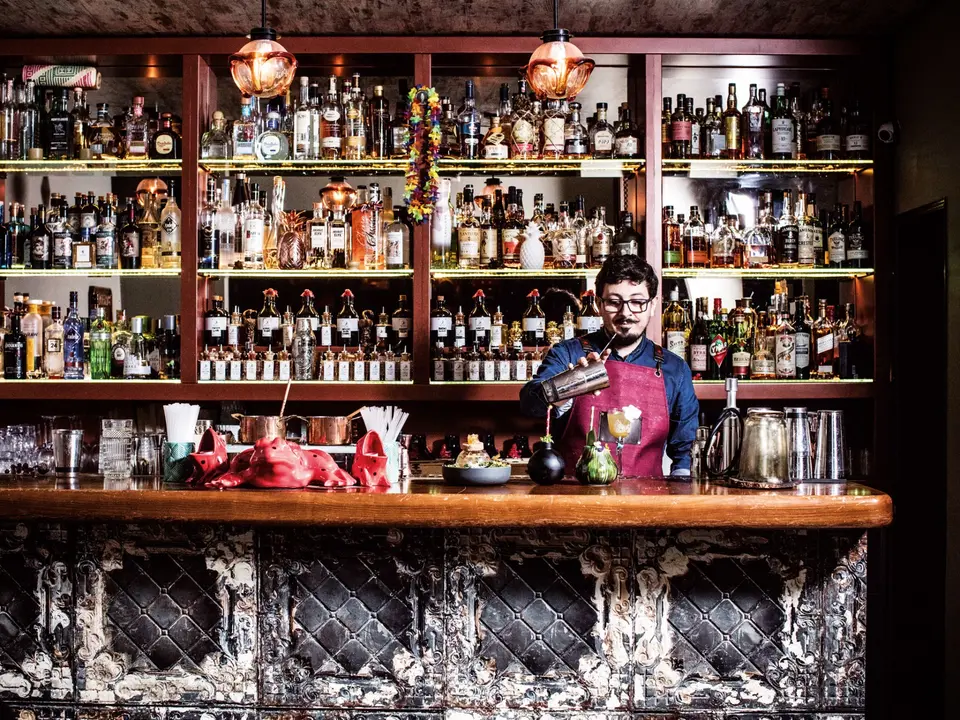 Red Frog, bar in Lisbon (photo 1)