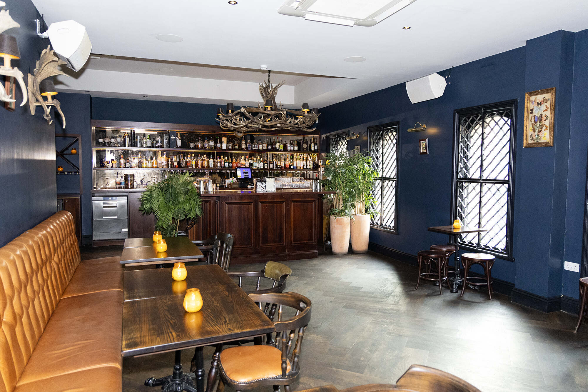 The Maven - Thumbnail 2