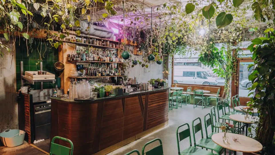 Torggata Botaniske, bar in Oslo (photo 1)