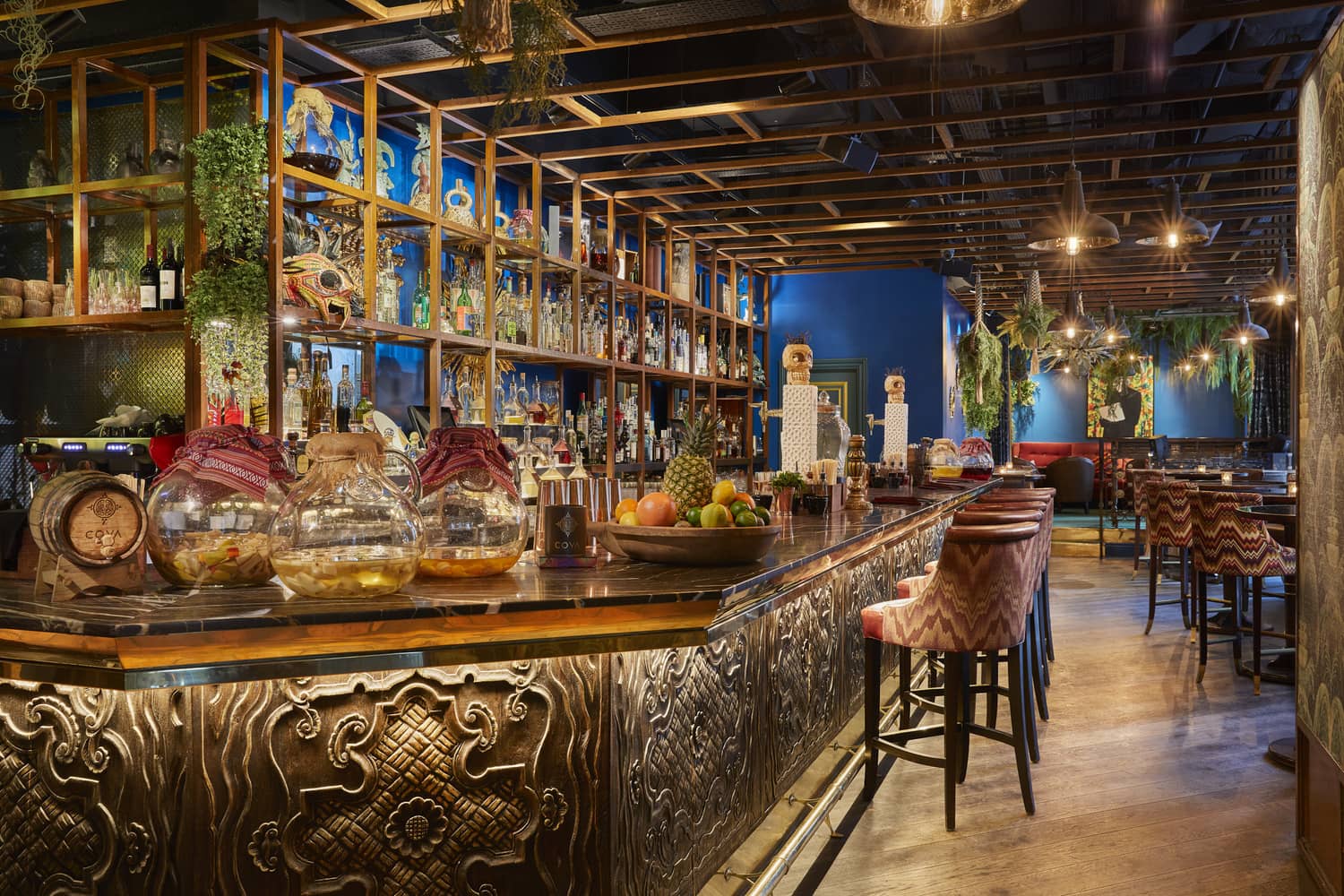 COYA Pisco Bar - Thumbnail 2