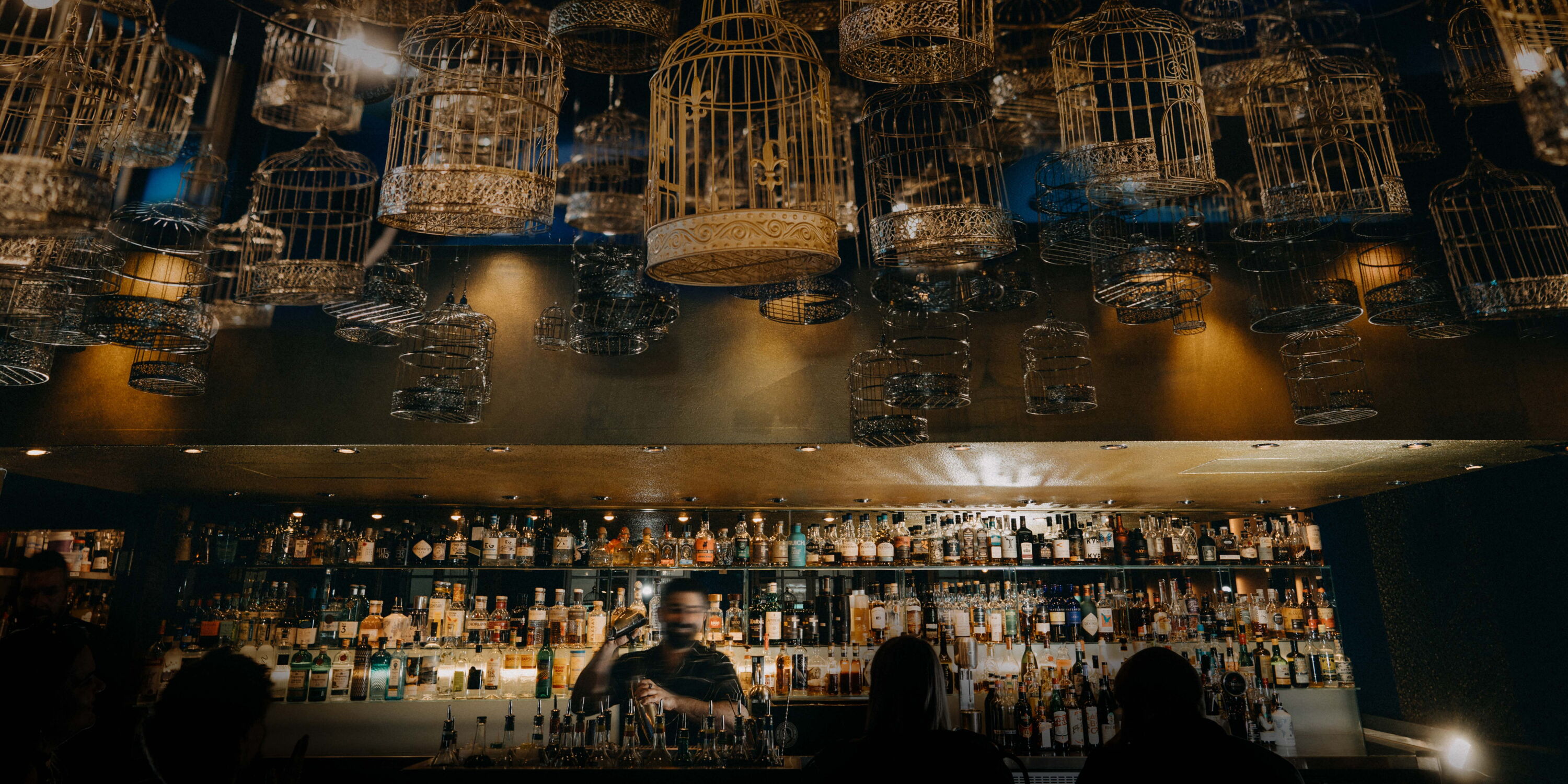 Blauer Fasan - Image 1