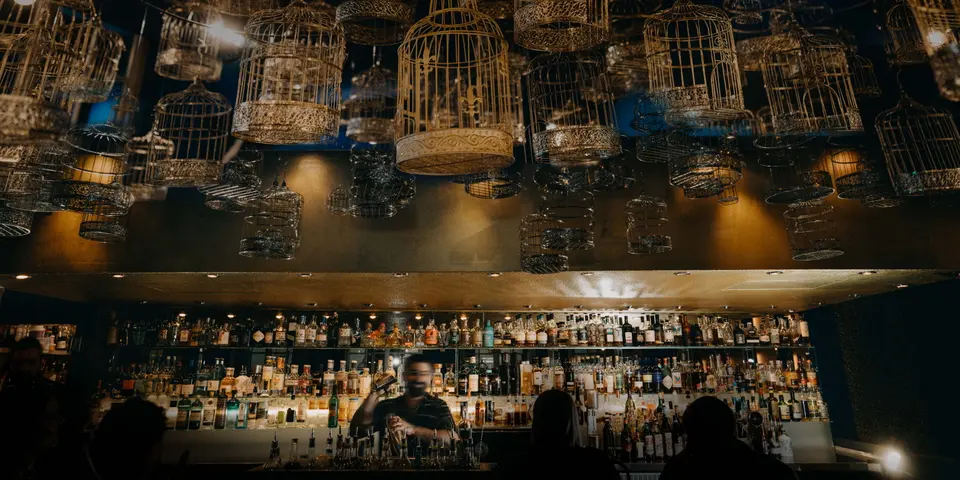 Blauer Fasan, bar in Bremen (photo 1)