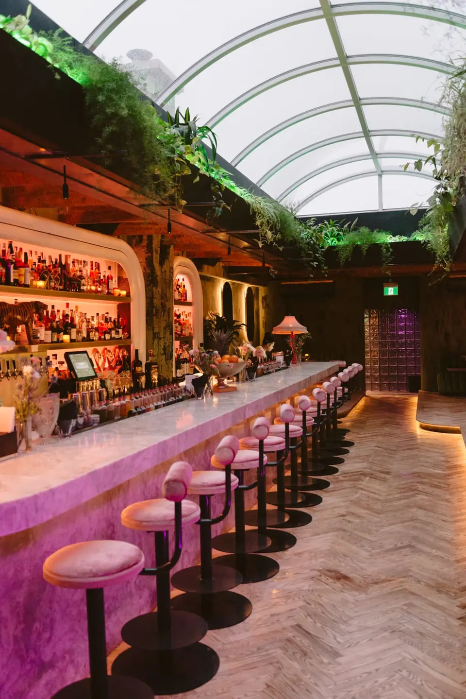 Milky Way, bar in Montreal (photo 1)