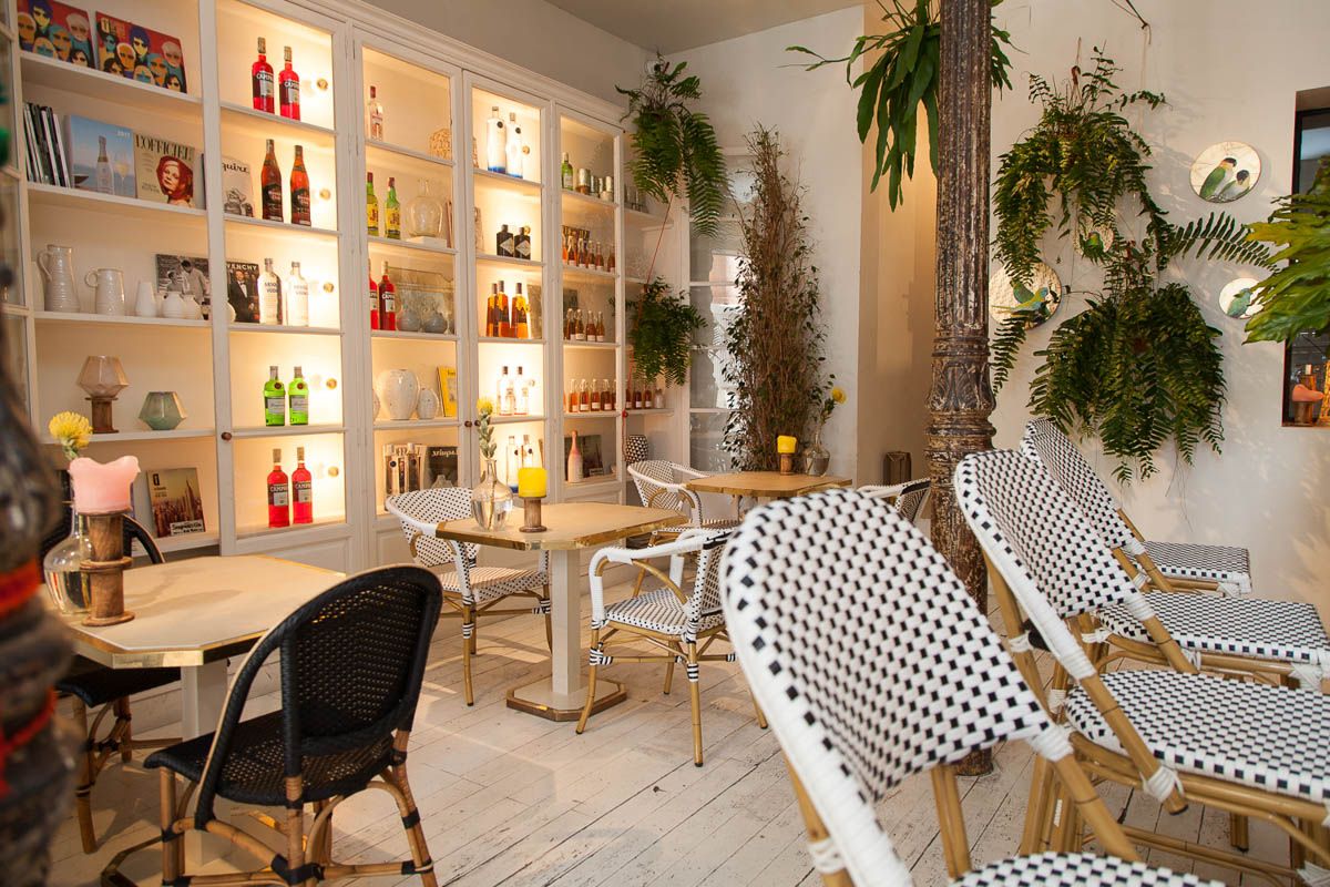 Ficus Bar - Thumbnail 2