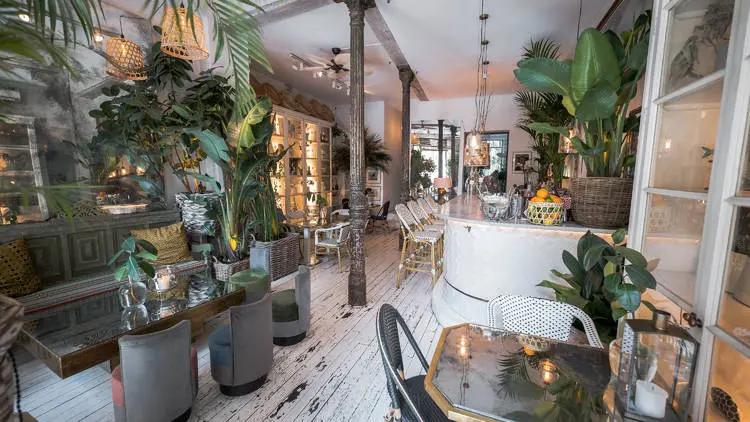 Ficus Bar, bar in Madrid (photo 1)