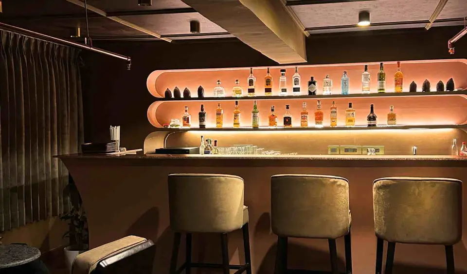 Pod, bar in Delhi (photo 1)